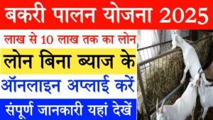 "बकरी पालन योजना 2025 – बिना ब्याज के ₹10 लाख तक लोन, ऑनलाइन आवेदन की पूरी जानकारी