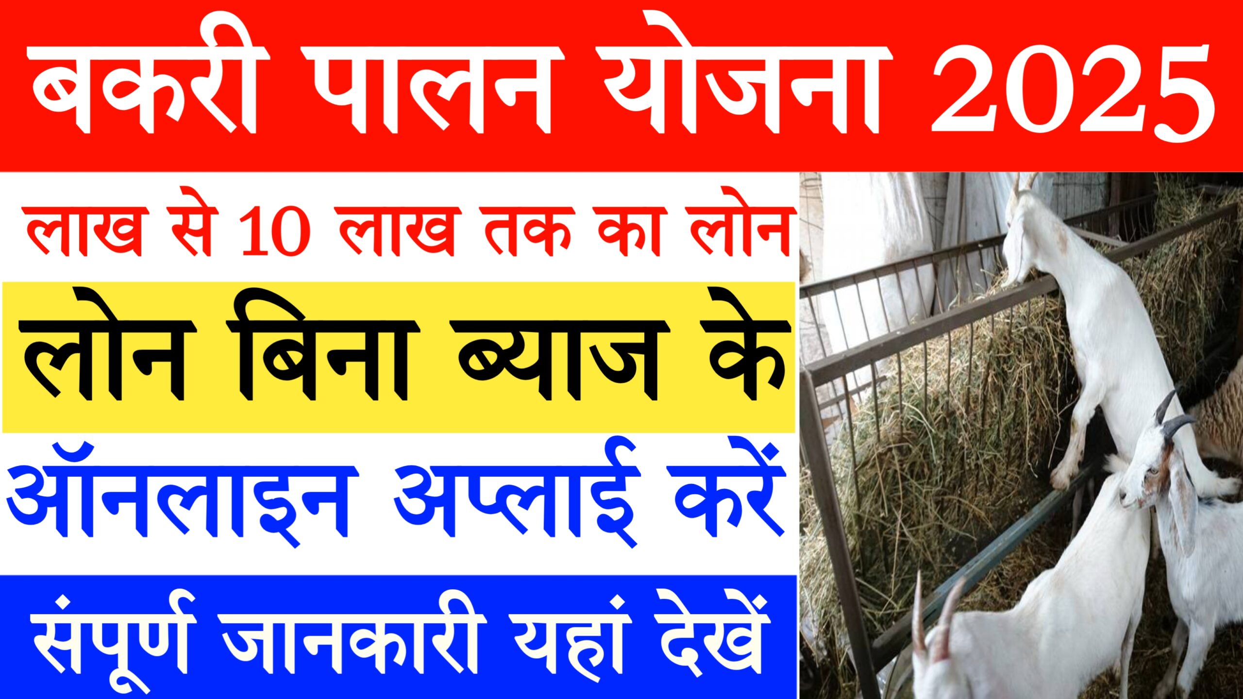 "बकरी पालन योजना 2025 – बिना ब्याज के ₹10 लाख तक लोन, ऑनलाइन आवेदन की पूरी जानकारी